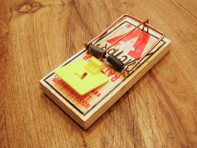 Figure 10. Conibear trap.