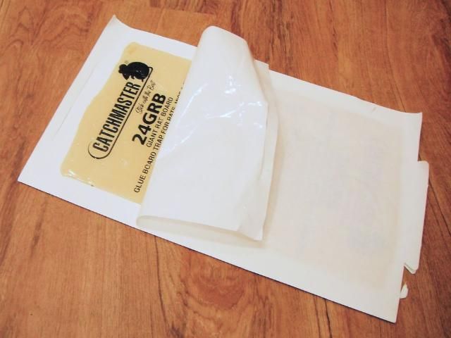 Figure 10. Conibear trap.