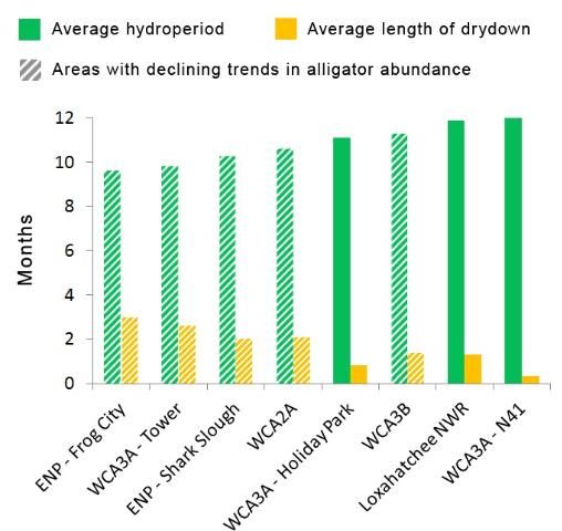 Average hydroperiod and average length of drydowns for eight survey areas