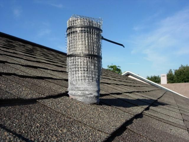 Cover roof vent pipes with hardware cloth to prevent entry into buildings by Cuban treefrogs
