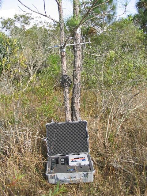 Figure 2. The so-called biologist in a box placed near a den site. Biologists can call the cell phone and listen to the telemetry receiver to assess if the female is at the den or not.