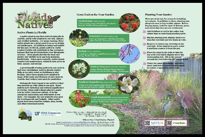 Figure 7. In this panel on Florida natives, we highlight a homeowner's landscape that contains native muhly grass and coontie plants. The photo on the bottom right is the raised landscaped bed with these natives installed. Note that the text just to the left invites people to contact the homeowners by email. Click on image to enlarge.