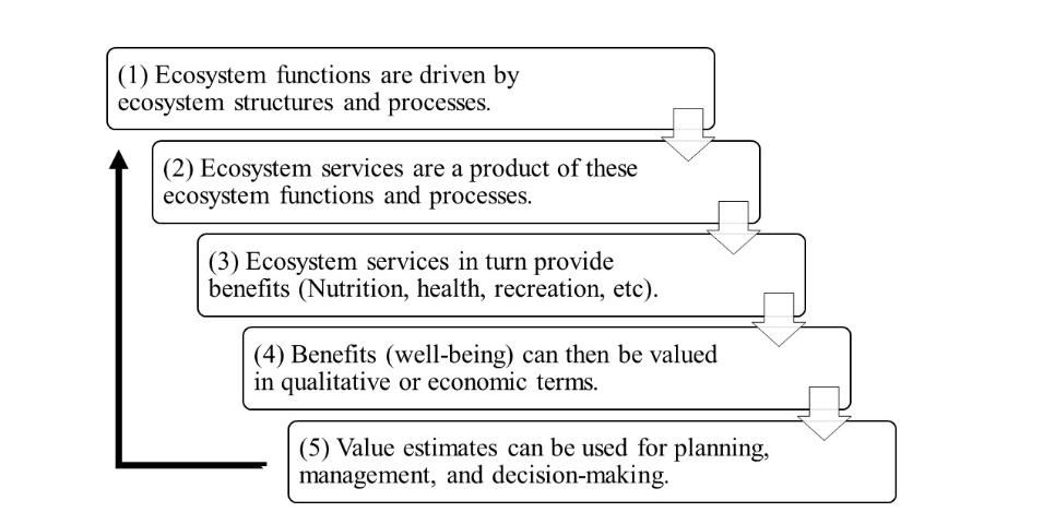 Figure 1. Putting the Ecosystem Services concept to use.