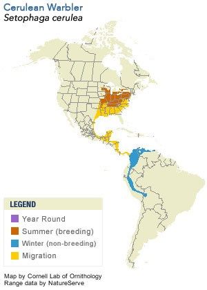 Figure 5. Range map of the Cerulean warbler (Setophaga cerulea).