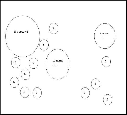 Conserved forest patches of different sizes conserved for a hypothetical development scenario. E = early successional forest and L = late successional forest. All of the 5 acres forest fragments are early successional forest fragments.