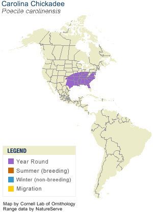 Range map of the Carolina chickadee (Poecile carolinensis). 