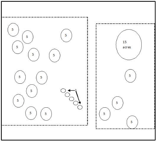 Figure 2. Tree canopy cover conserved in built areas (dashes outline designated perimeter of the residential areas). Circles represent tree canopy cover within residential areas. Remember roads and homes occupy areas encompassed by the dashed lines, as it is a planned residential area. Outside of these dashed lines is conserved areas such as buffer containing trees. The trees in the buffers are not counted because they do not occupy the residential areas and this analysis is only counting trees conserved in residential areas.
