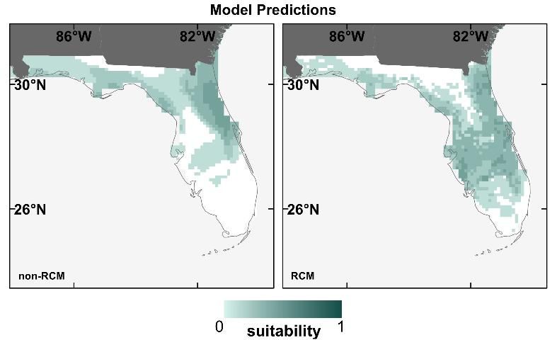 Figure 5. Future time period (2050) SDM prediction maps using non-RCM (left) and RCM (right) climate datasets for the Everglade snail kite, illustrating the absence of suitable conditions in southern Florida predicted by the non-RCM model.