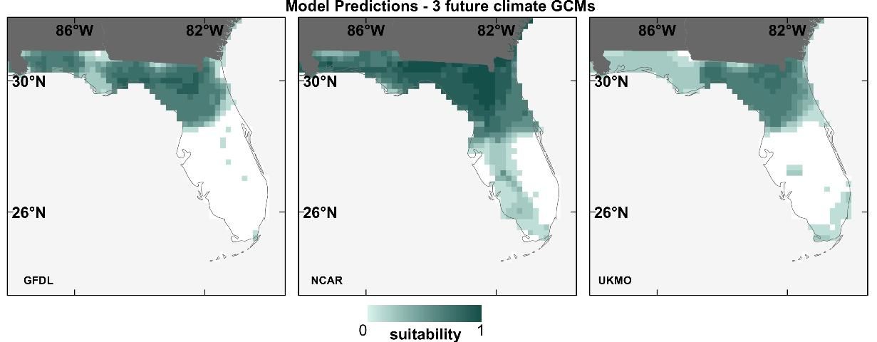 Figure 4. Future time period (2050) prediction maps from SDMs using three different GCMs (labeled in bottom left corner of each panel) for the Florida scrub jay.