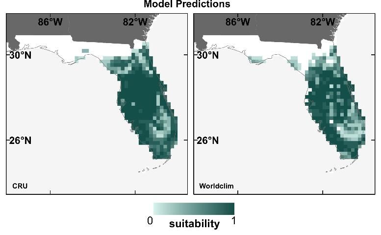 Figure 3. Present time period SDM prediction maps for the Florida scrub jay built using different contemporary climate datasets (CRU and WorldClim), showing high similarity.