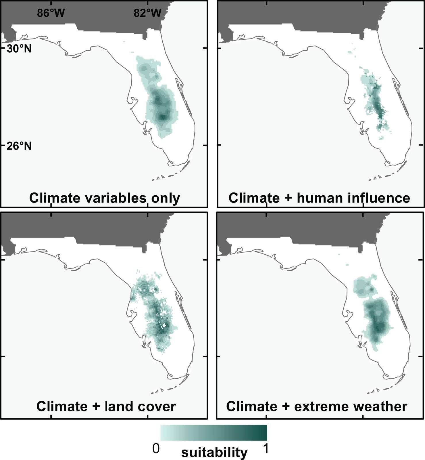 Present time period SDM prediction maps for the Sand skink, using four different sets of input variables. In comparison to the climate variables only map (upper left), note the refined predictions in models including human influence variables (upper right), and to a lesser extent land cover variables (lower left).