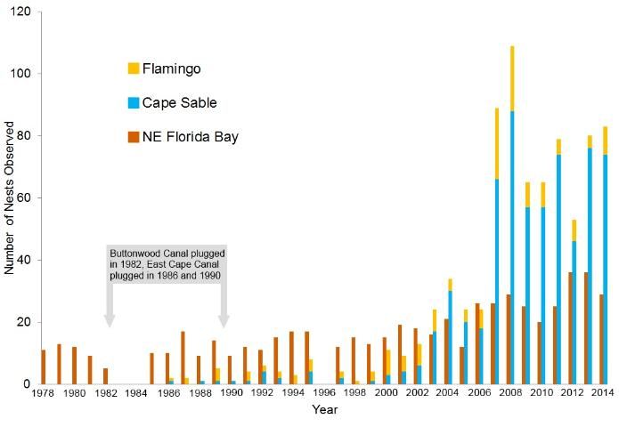 Figure 4. Number of American crocodile nests per year found in northeastern Florida Bay and the Flamingo and Cape Sable areas (including Buttonwood and East Cape canals) from 1978 to 2014. Crocodile nests were first discovered in Flamingo and Cape Sable after Buttonwood and East Cape Canals were plugged in the 1980s. Since then, the number of nests per year has increased more rapidly in Flamingo and Cape Sable than in northeastern Florida Bay.