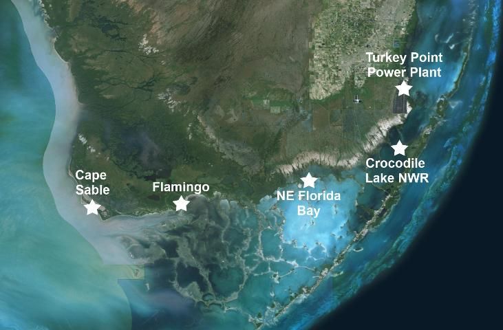 Figure 2. Important locations for American crocodiles in Florida.
