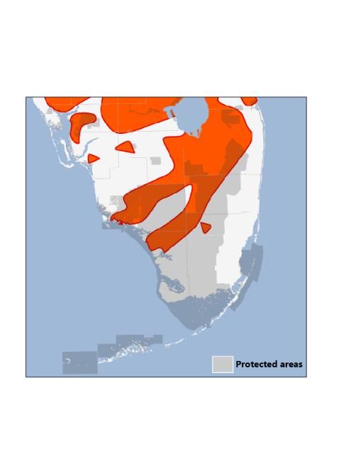 Figure 6. 2060 Climate suitability for the Florida panther.