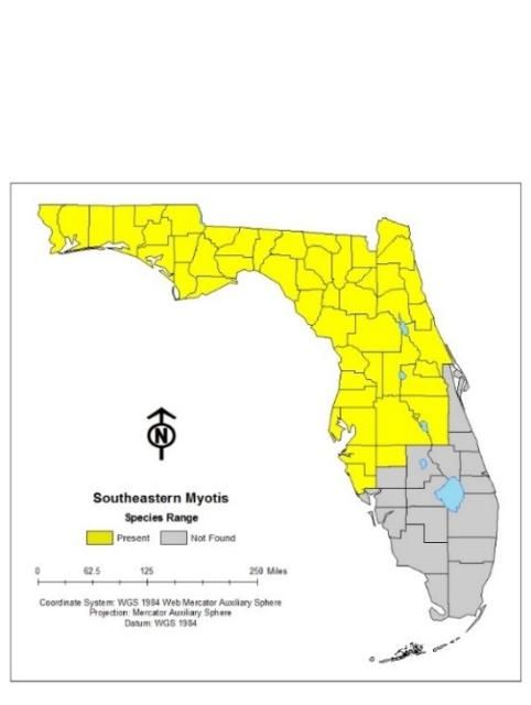 Figure 2. Southeastern myotis are found throughout the northern two thirds of Florida.