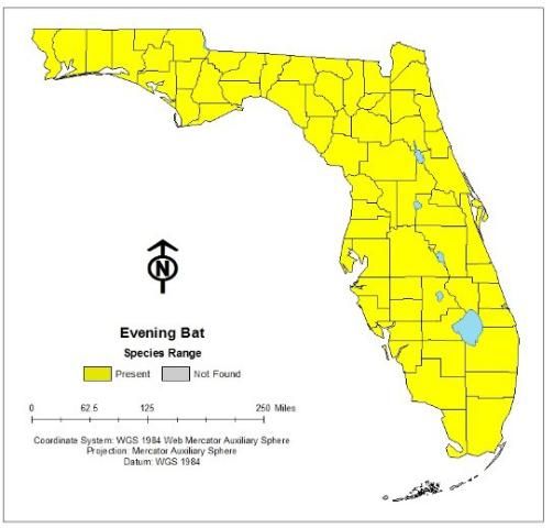 Figure 2. Evening bats occur throughout the state of Florida, except the Florida Keys.