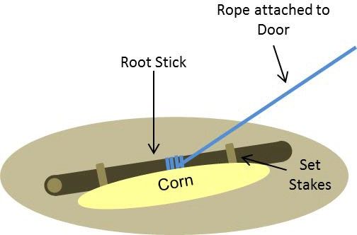 Schematic of a rooter stick trigger mechanism. 