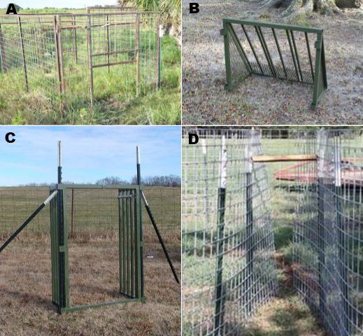 Various gate types that can be used to trap wild pigs: drop or guillotine gate (A); swing or saloon gate (B); rooter or lift gate (C); funnel entry (D).