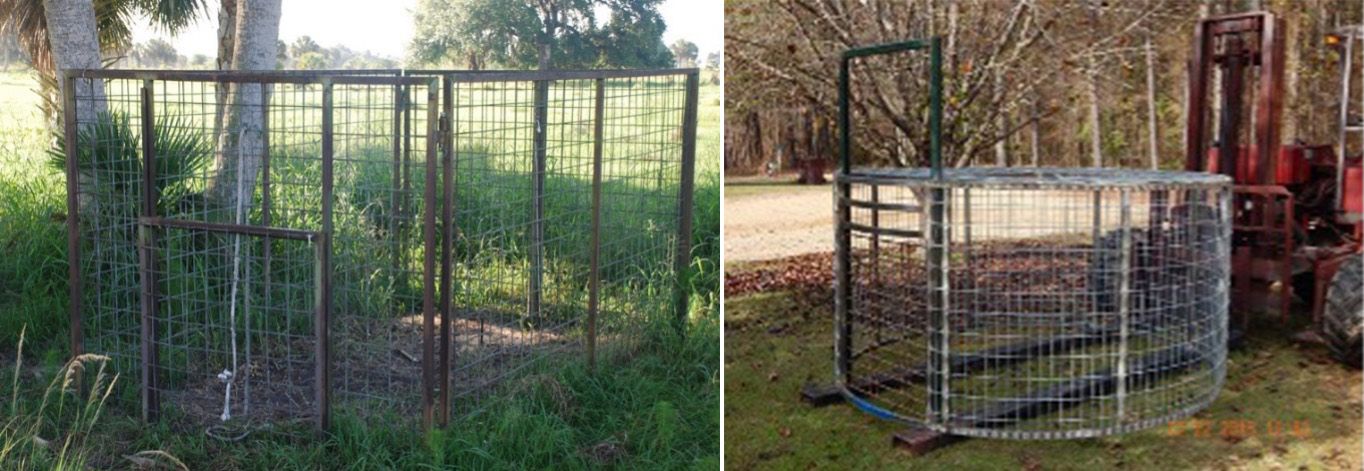 A portable rectangular cage trap (left) and a portable round cage trap (right), which can be rolled, making it easier to transport than a square or rectangular trap. 