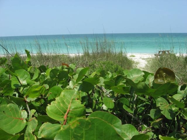 Coastal dunes and beach protected by the Conservation Foundation of the Gulf Coast in Florida.