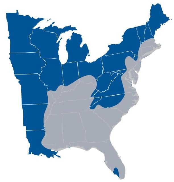 Figure 11. Approximate geographic range of eastern spadefoot toads shown in grey. They occur throughout much of the eastern United States, including almost all of Florida.