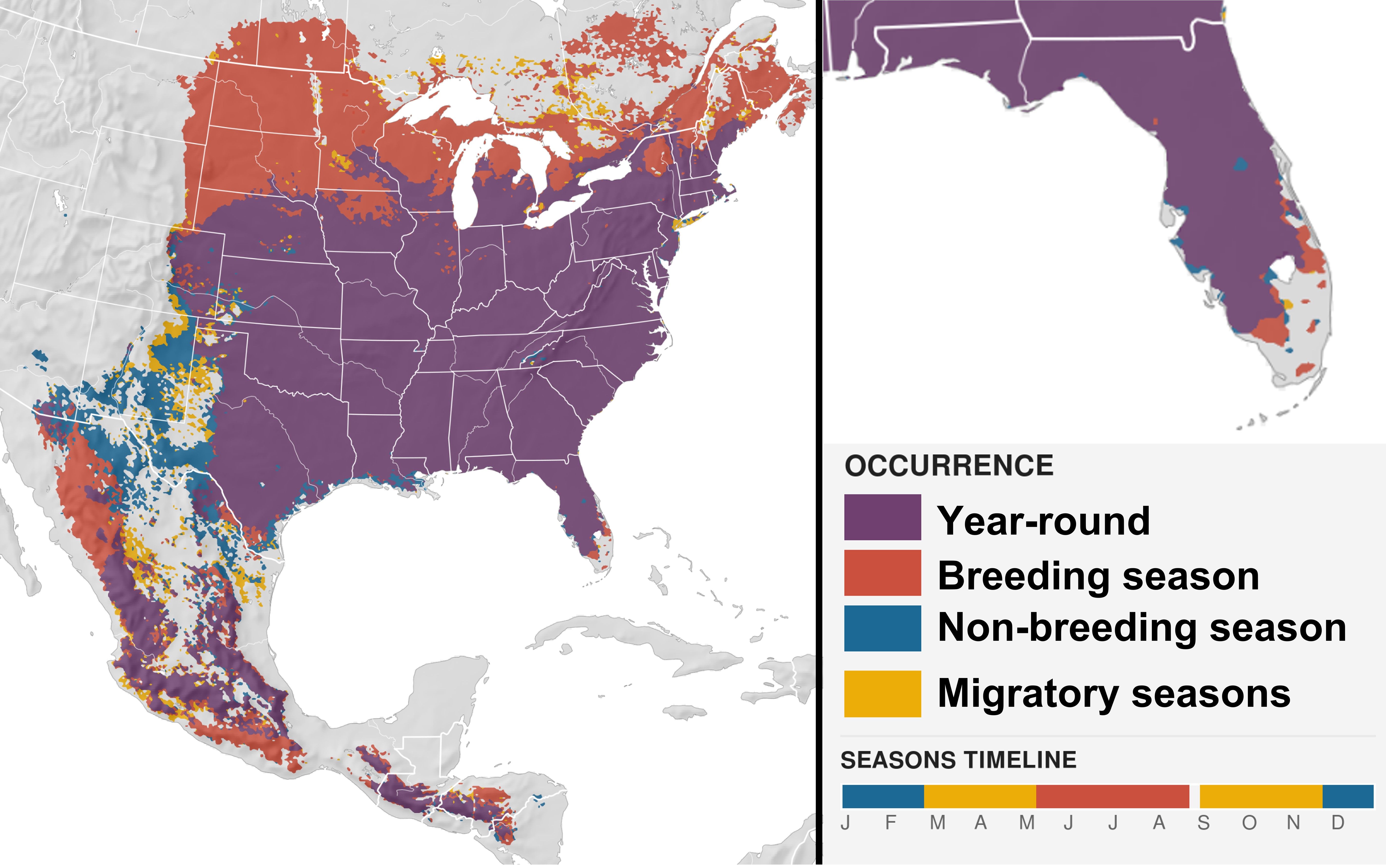 Continental range map of eastern bluebird (left) and within Florida (upper right). 