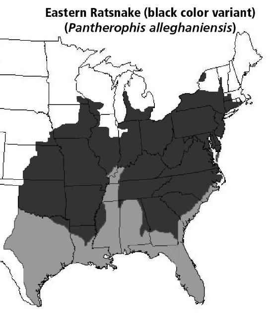 Rango de distribución de la serpiente ratonera oriental (variante de color negro) (Pantherophis alleghaniensis).