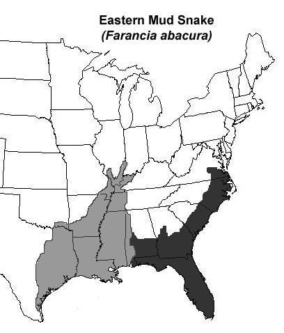 Rango de distribución de la serpiente de barro oriental (mostrado en negro, otras especies de serpientes de barro están en gris).