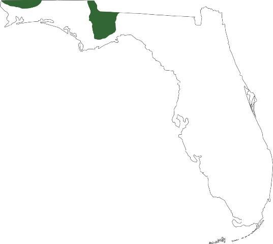Distribución de la serpiente cabeza cobriza en Florida: dos regiones pequeñas en la Florida Panhandle.