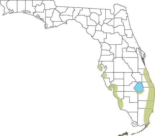 Distribución del basilisco marrón en Florida, 2022. Este mapa se basa en registros de EDDMapS, Krysko et al. (2006), FLMNH, y iNaturalist. Dicho mapa se aproxima a la extensión mínima del establecimiento de la especie en Florida. 