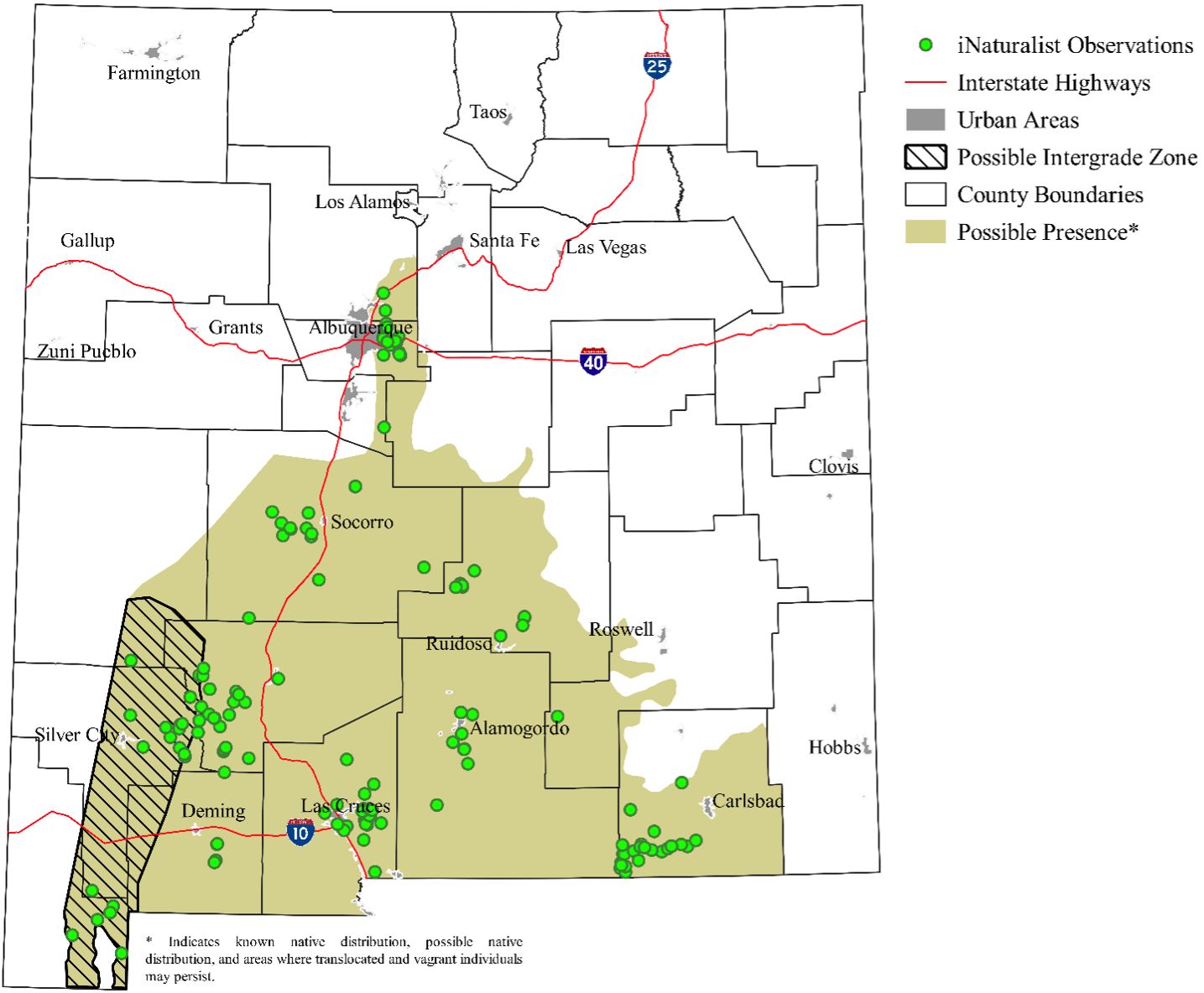 Observations and projected distribution of the eastern black-tailed rattlesnake in New Mexico. The possible intergrade zone in southwestern New Mexico is an area where the two species of black-tailed rattlesnakes may hybridize. 