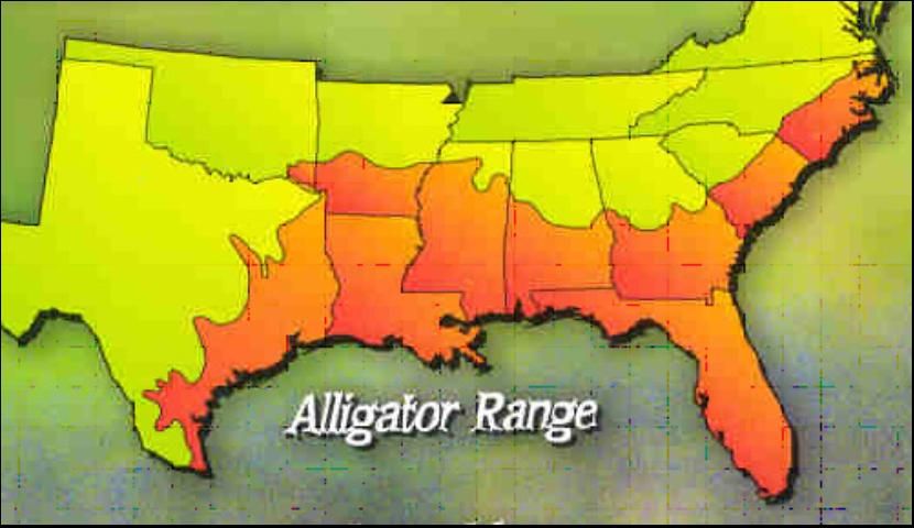 El rango de distribución del caimán americano (donde viven) en el sudeste de los Estados Unidos (área anaranjada, o área sombreada, en el mapa).