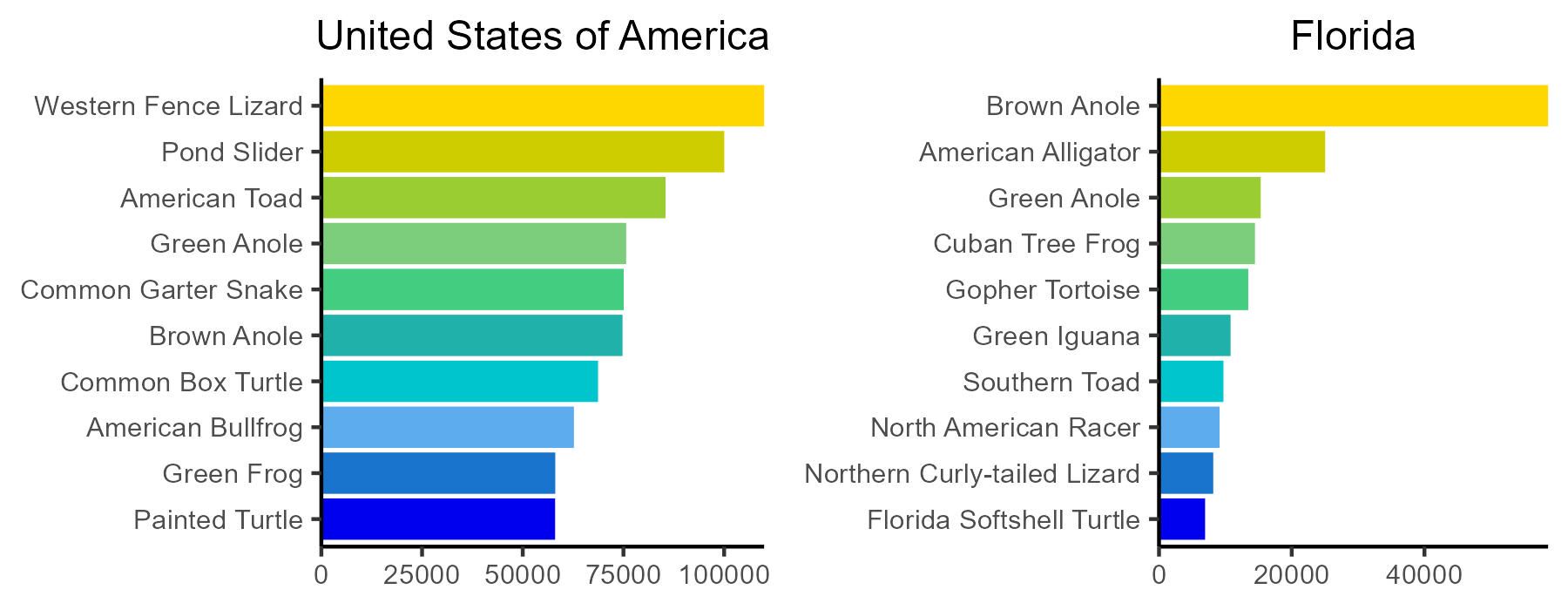 Number of iNaturalist observations for the top ten species of reptiles and amphibians observed in the United States of America and the state of Florida.