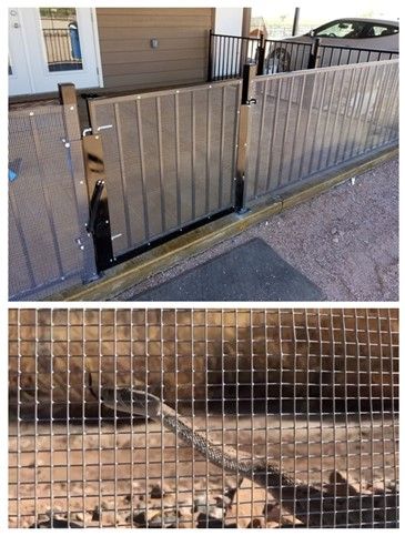 Snake fencing, if installed properly, is highly effective at excluding most ground-dwelling species like rattlesnakes. 