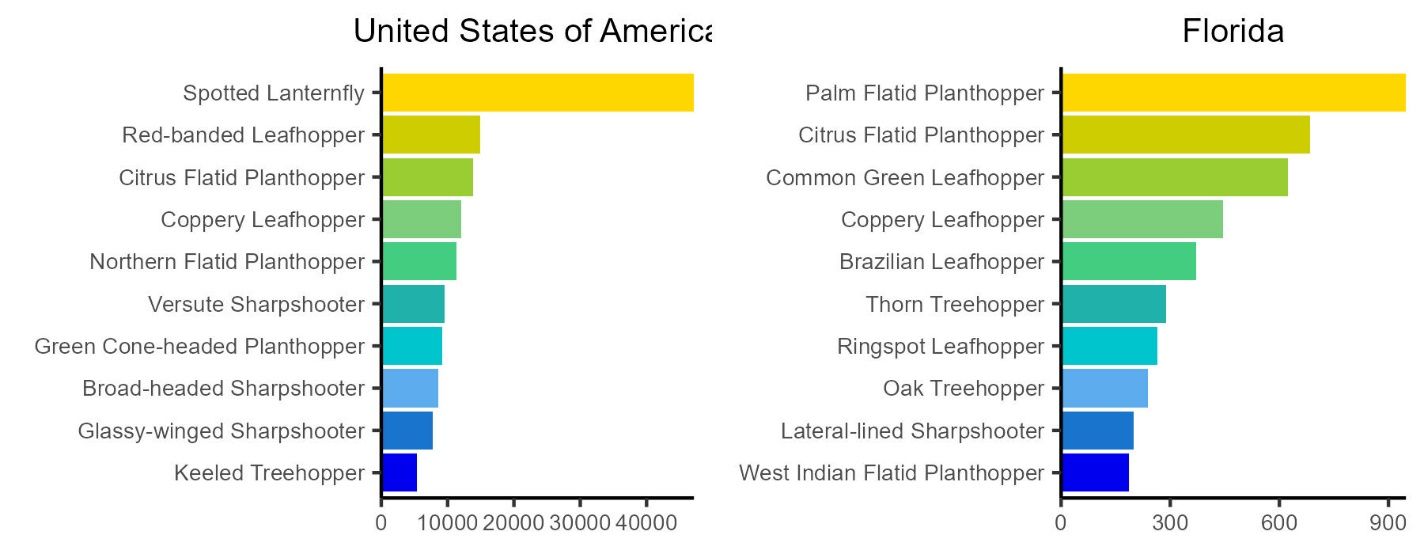 The number of iNaturalist observations for the top ten species of leafhopper, treehopper, and planthopper observed in the United States of America and the state of Florida.