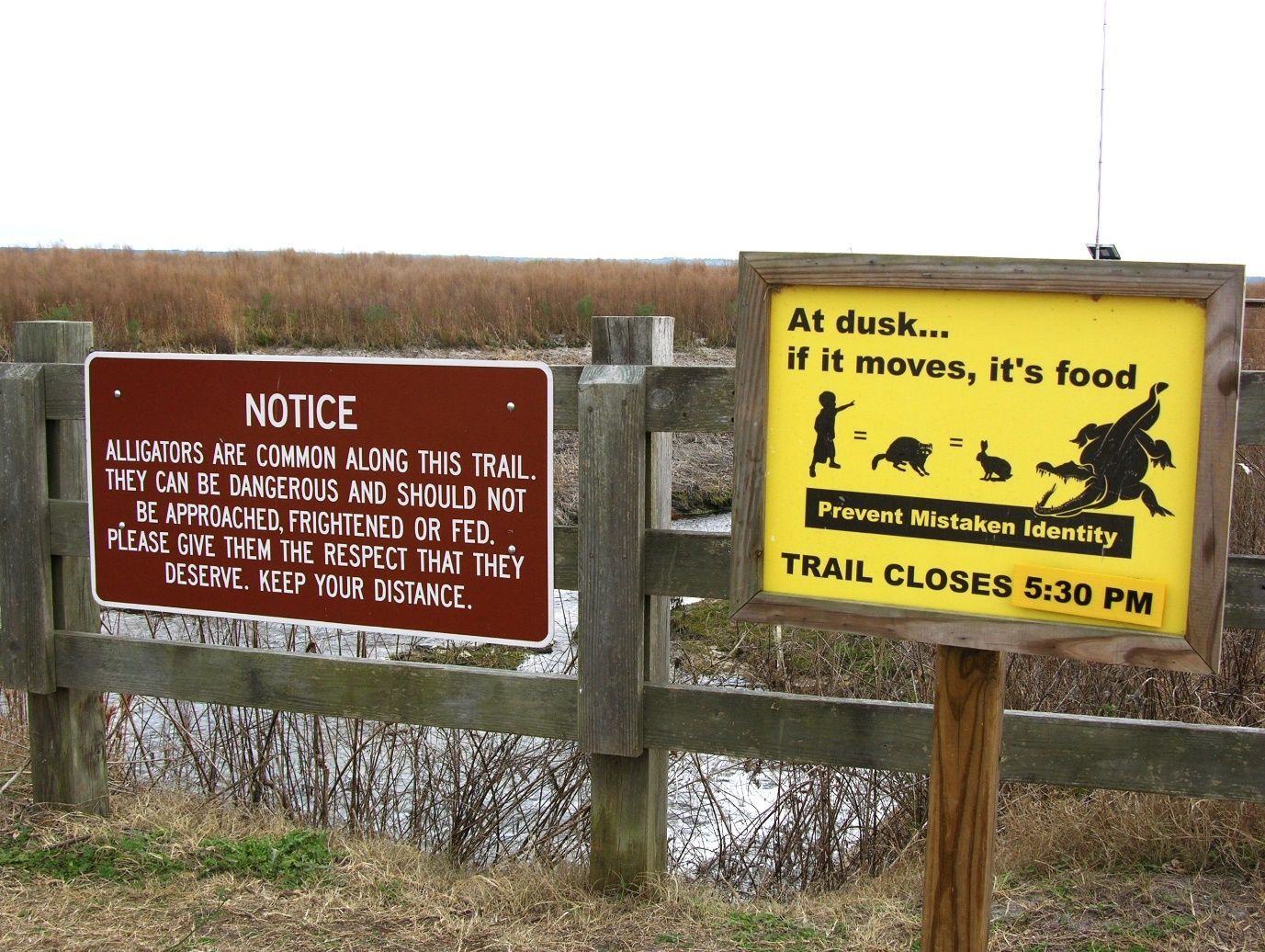 Dos letreros visibles sobre una cerca de madera en los cuales se leen advertencias de no alimentar a los caimanes y mantener la distancia.