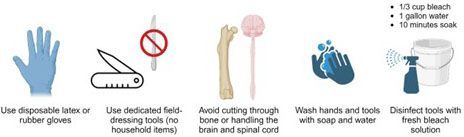 Procedimientos recomendados de despiece en campo.
