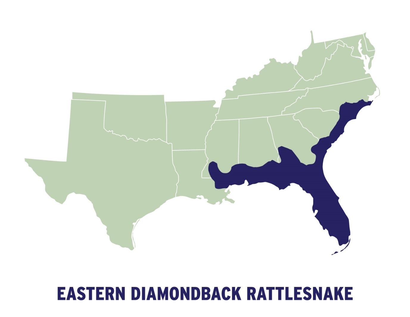 A map of the United States of America showing the range of the eastern diamondback rattlesnake in the Southeast from southeast North Carolina though southeastern Louisiana.