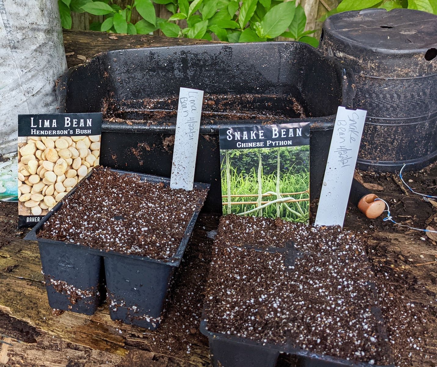 A potting bench with some supplies typically needed for producing transplants, including potting media, seeds, trays, and labels. 