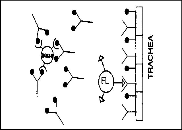 Figure 5. 
