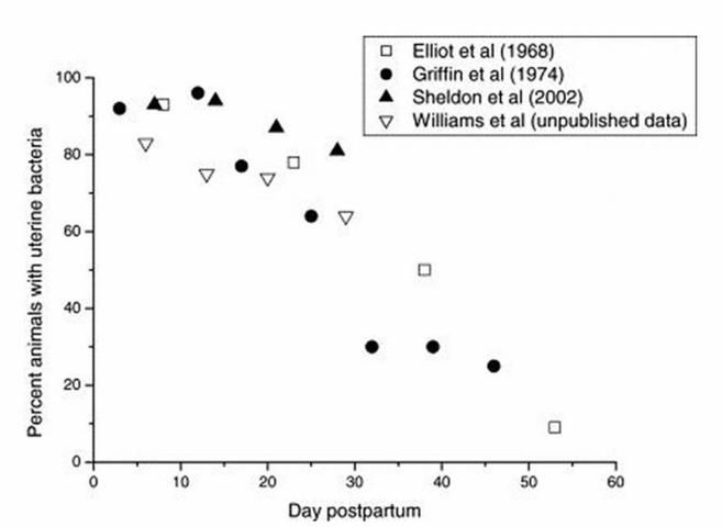 Figure 1. Percent of cows with positive bacterial culture by days postpartum.