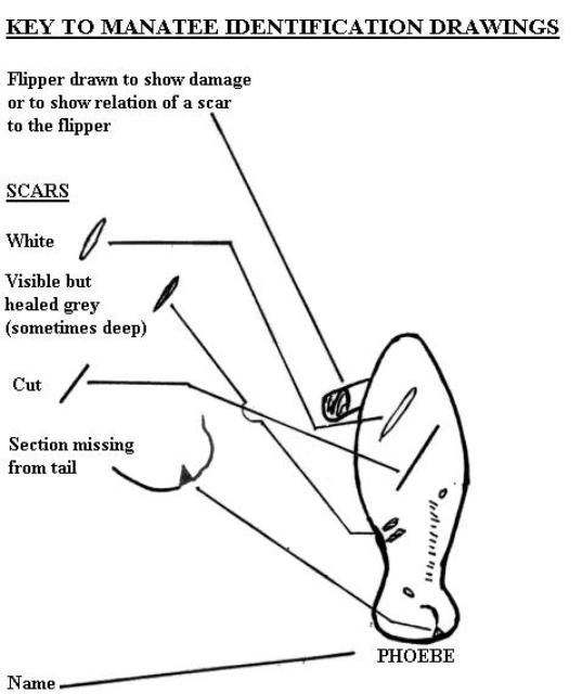 Figure 1. 