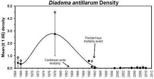 Figure 2. Temporal patterns in mean Diadema antillarum density on shallow spur and groove reefs in the Florida Keys. (Reproduced from NOAA/FKNMS 2015)
