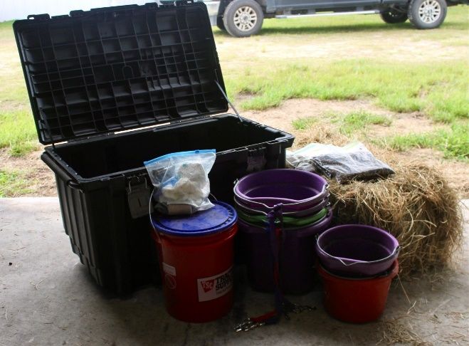 Prepare a 3- to 7-day supply of feed, water, and all associated supplies for each horse. For additional ease in transport and increased safety, store these materials in watertight containers. 