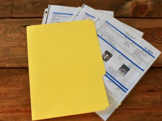 Key documents such as Coggins and/or health certificates should be well organized and kept together. Laminate or keep in protective sleeves to ensure documents are not damaged. 