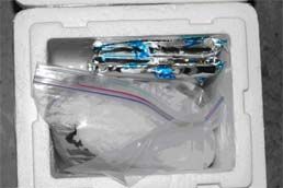 Carcass packaged properly for submission. Samples are stored inside sealed ziplock bags. Ice packs, absorbent material, and box size are adequate for the amount/size of samples submitted. 