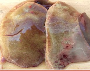 Enlarged liver with extensive necrosis. 