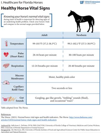 Healthy Horse Vital Signs. This figure reveals the normal horse vital signs that can be compared to your horse’s vital signs during times of illness or injury.