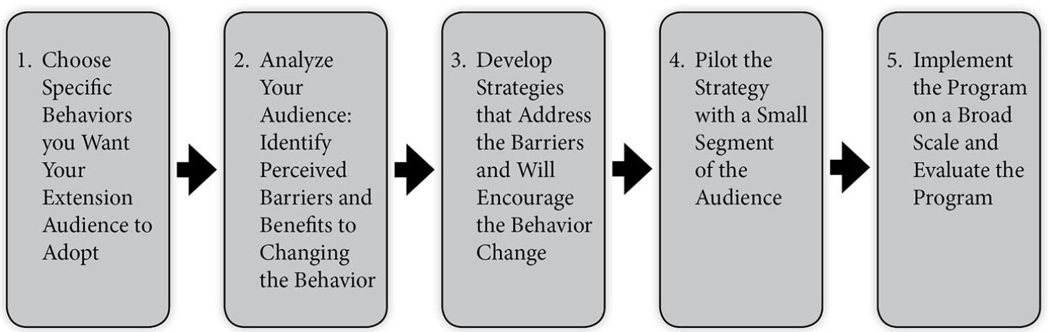 Figure 1. A graphic representation of the social marketing approach as applied to Extension programming.