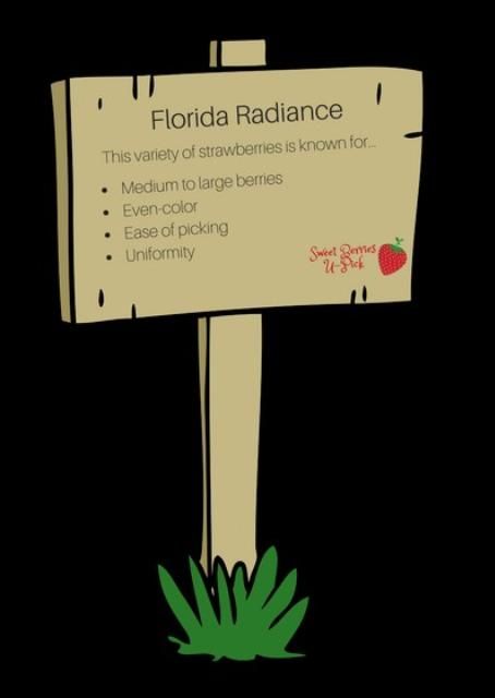 Figure 2. Example of wording that could be placed on a sign to identify a strawberry variety.